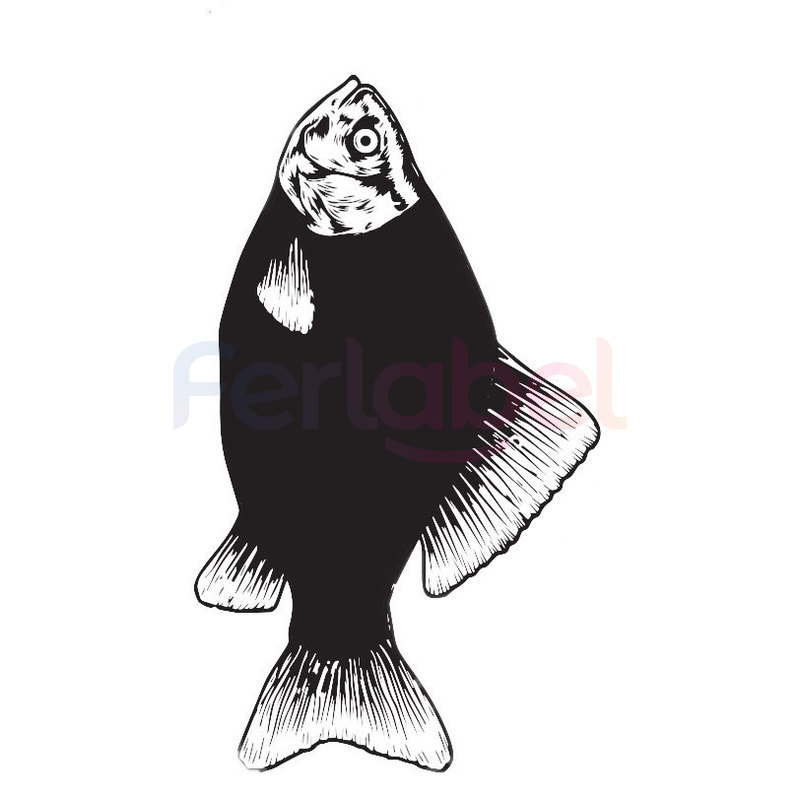 lavagna horeca pesce 60x35h 