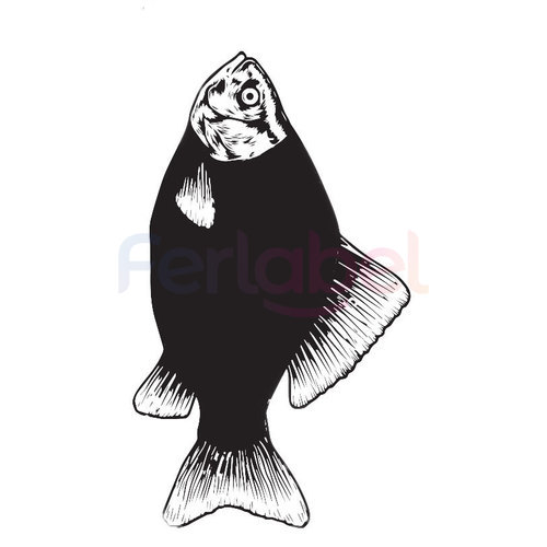 lavagna-horeca-pesce-60x35h-stap46