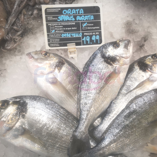 kit-lavagna-pescheria-140x100-completa-di-spillo-2-punte-conf-50-pz