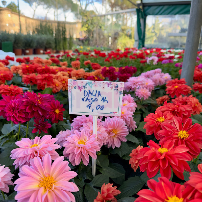 kit lavagna per garden e fiorai (10 pz) completi di puntale e 1 pennarello