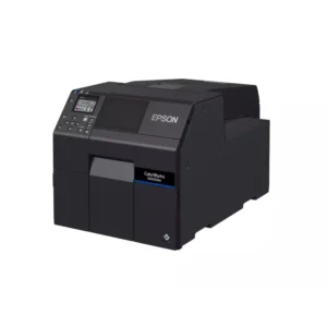 Stampante Epson D6000