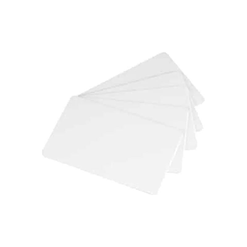 Card in Plastica C3001