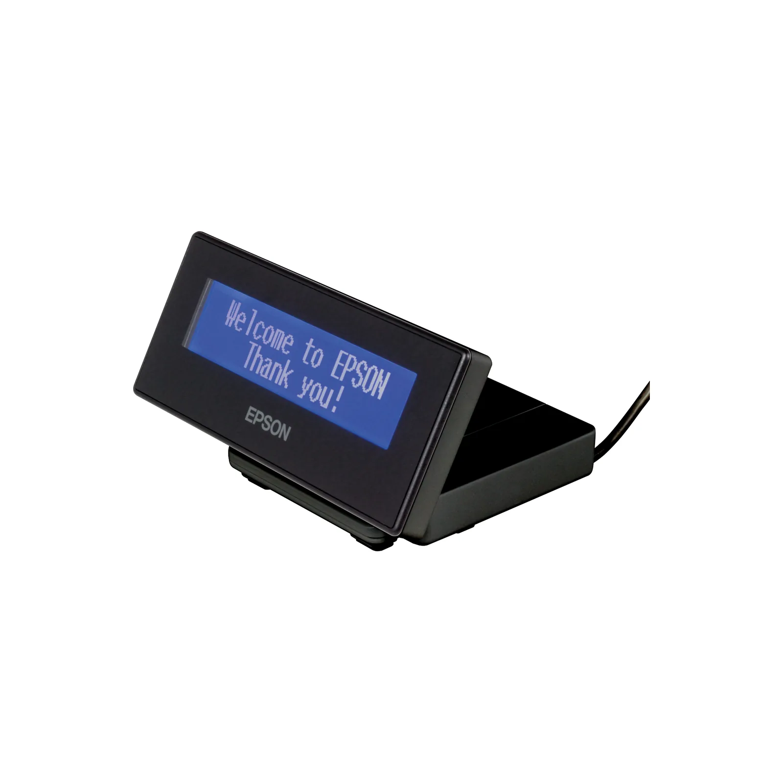 Display di cortesia Epson DM-D30 - vista prodotto