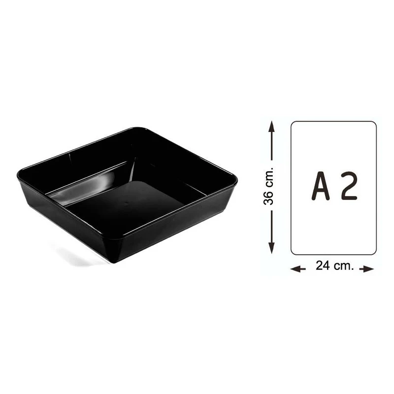 Piatto, Vassoio e Vaschetta Tray Per Banchi Alimentari SECTP28501
