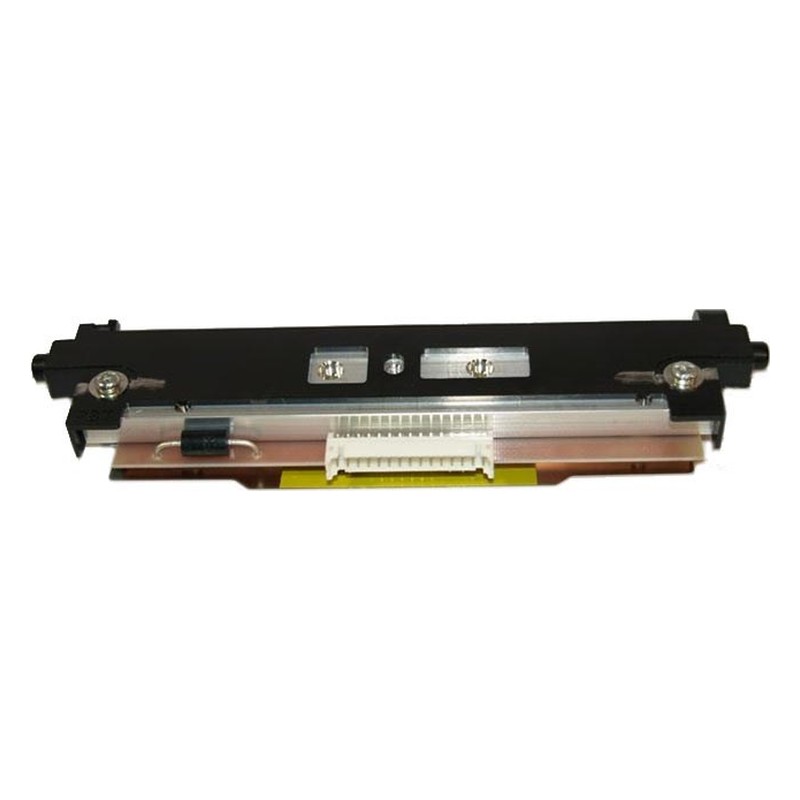 Testina di stampa Citizen per CL-S400DT, 203 dpi (PPM80001-00)